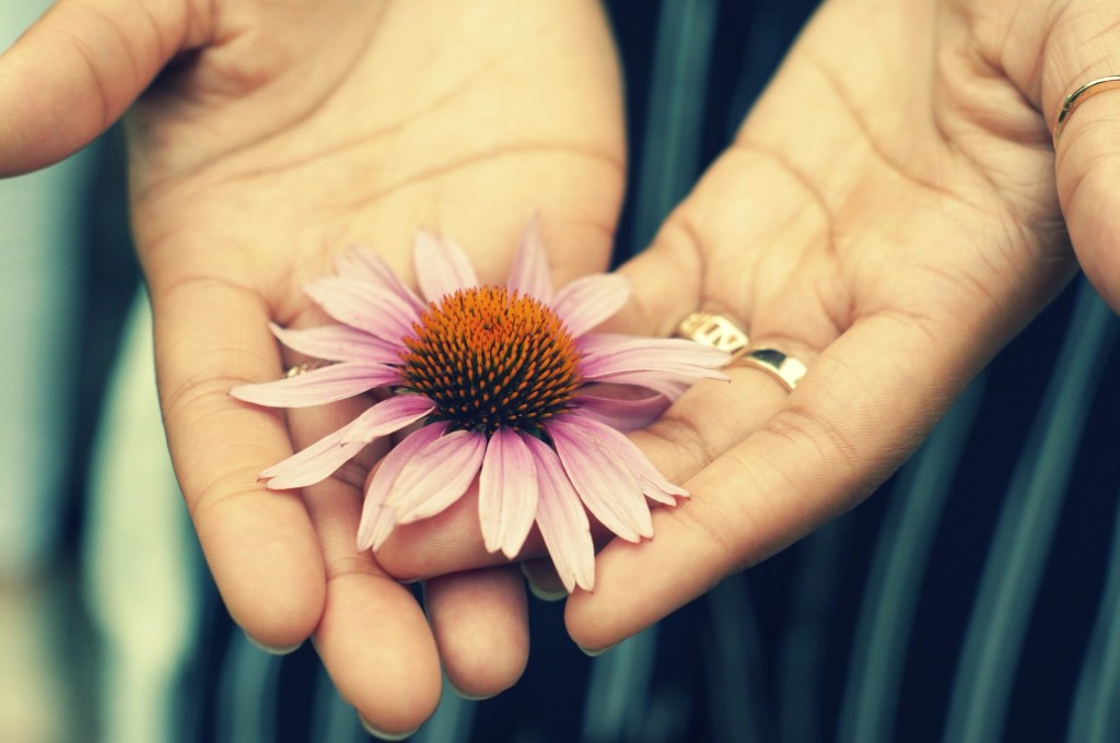 Is the “Problem or Solution” Definition of Gossip Actually&nbsp;Biblical?